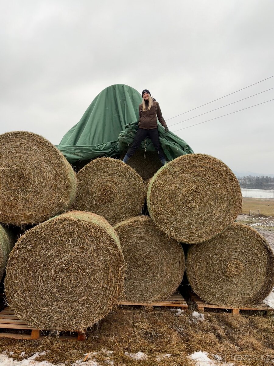 Prodám seno a senáž