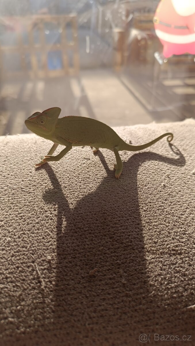 Chameleon s vybavením