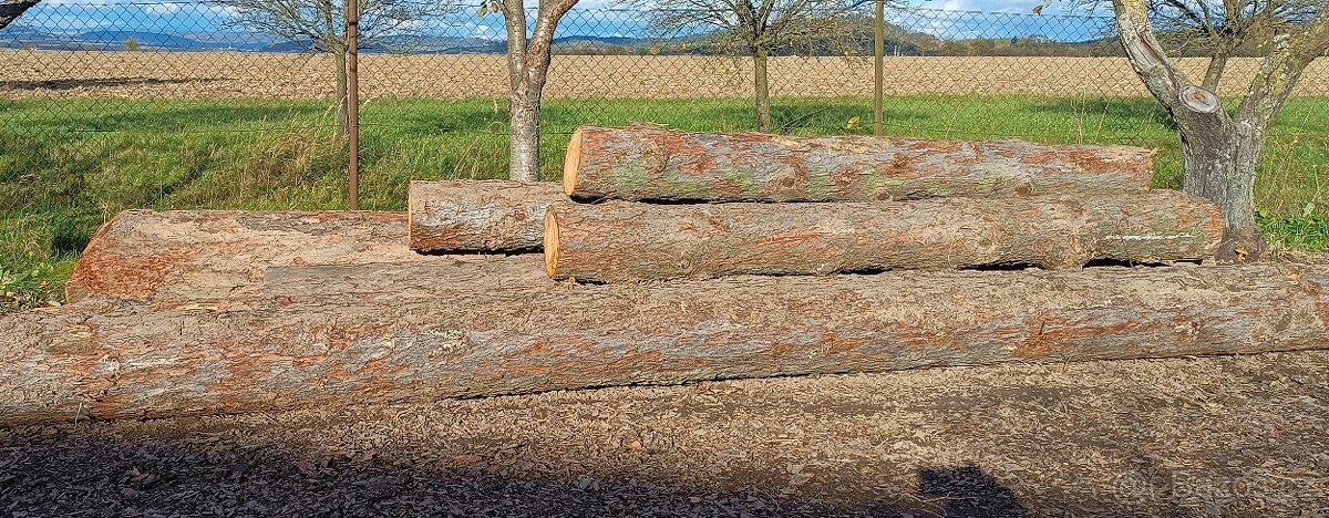 Modřínová kulatina