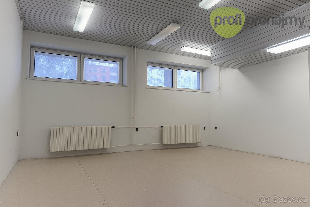 Pronájem obchodního/skladového prostoru 42,5 m²
