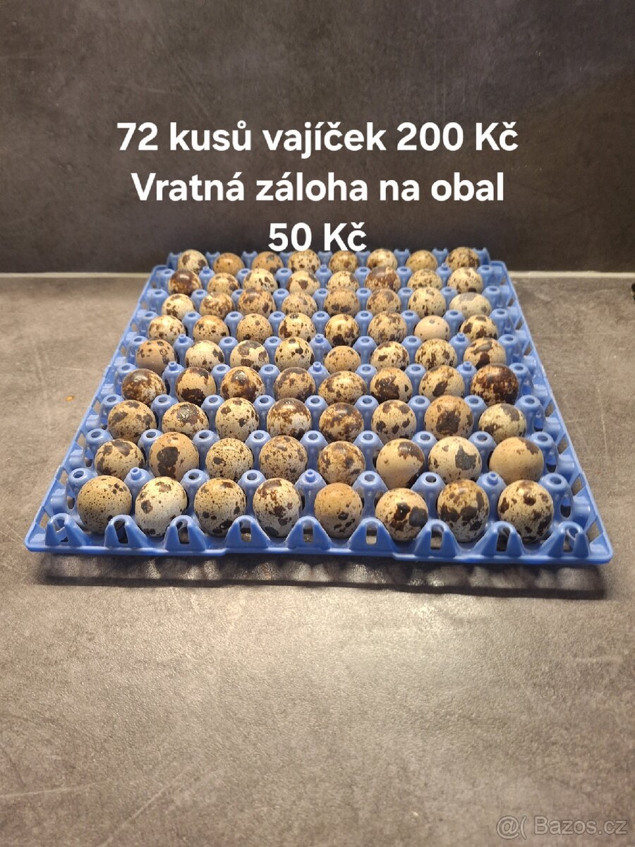 Křepelčí vajíčka