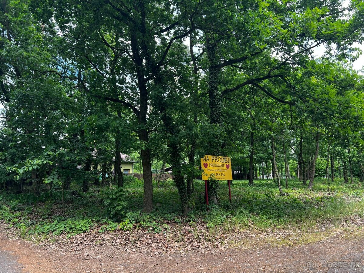 Pozemek pro stavbu RD s lesem-Loučeň 2537m2, 6 200 000,-
