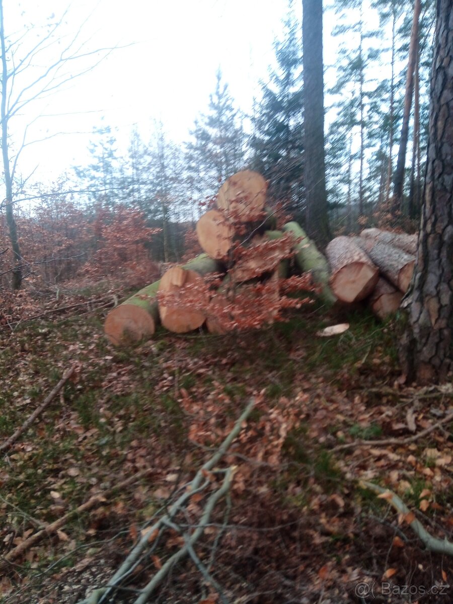 Palivové drevo