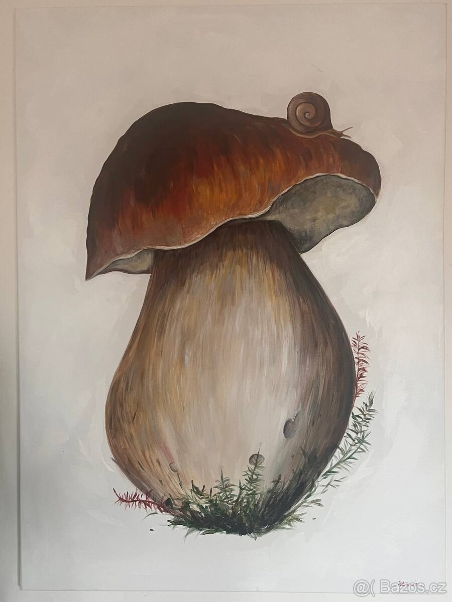 Obraz akrylem na plátně houba, 150x80 cm