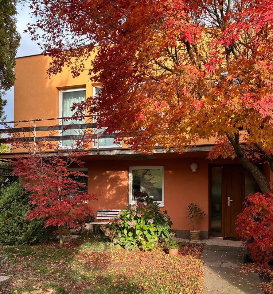 Rodinný dům v Odrách na ulici Mlynské údolí 🌲🔥