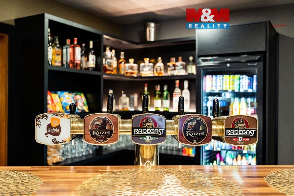 Prodej restaurace, stravování, 165 m², Těmice