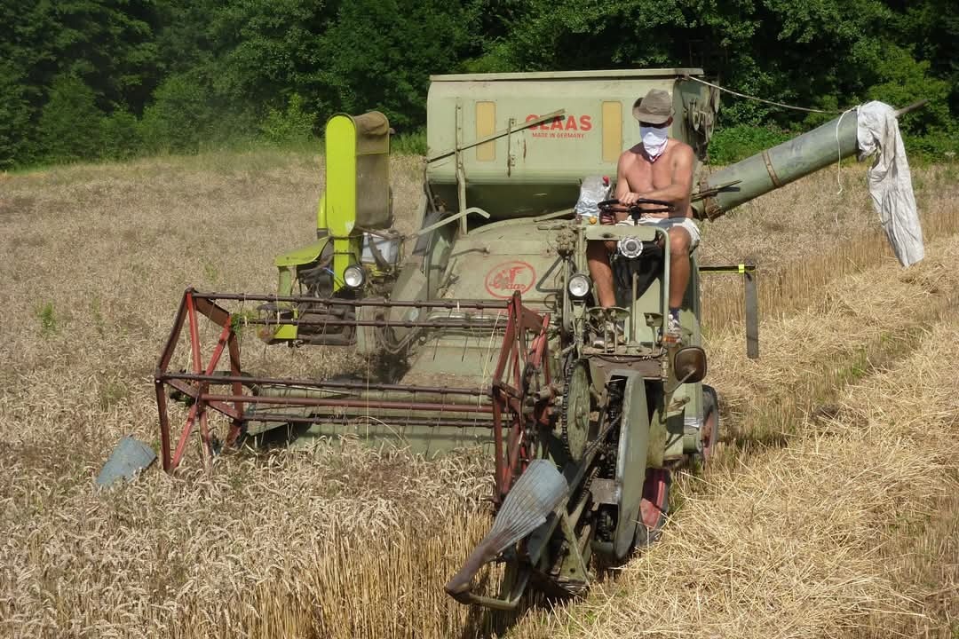 kombajn Claas Columbus