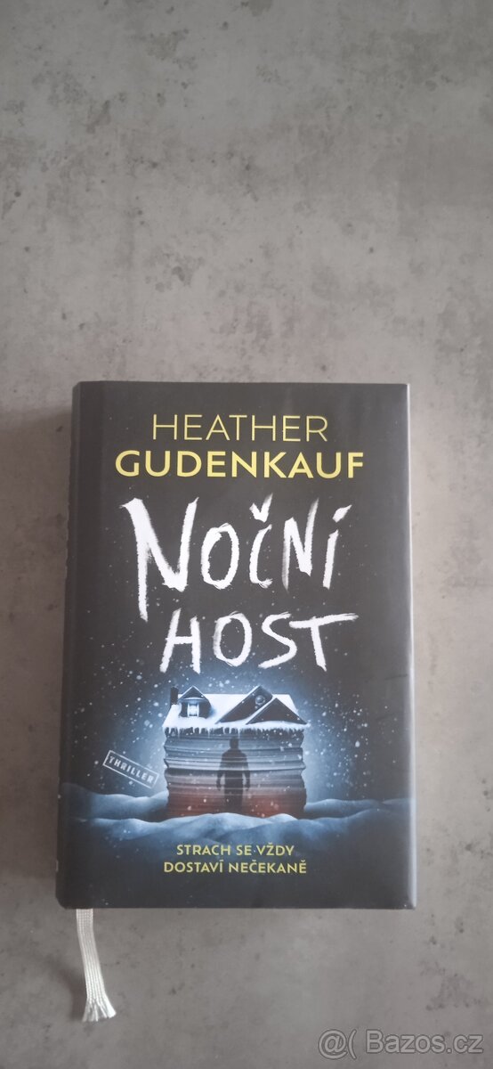 Heather Gudenkauf - Noční host