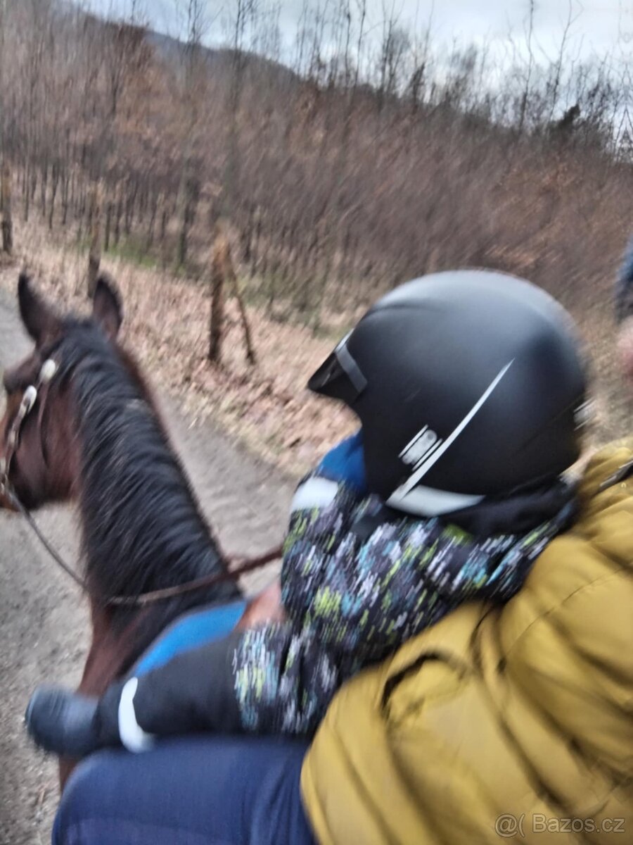 Francouzský klusák