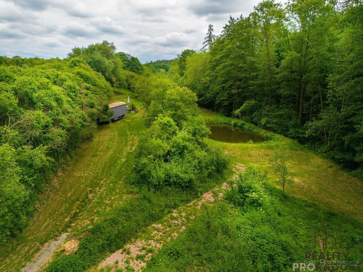 Prodej krásného pozemku s rybníkem na okraji lesa – 6 531 m²