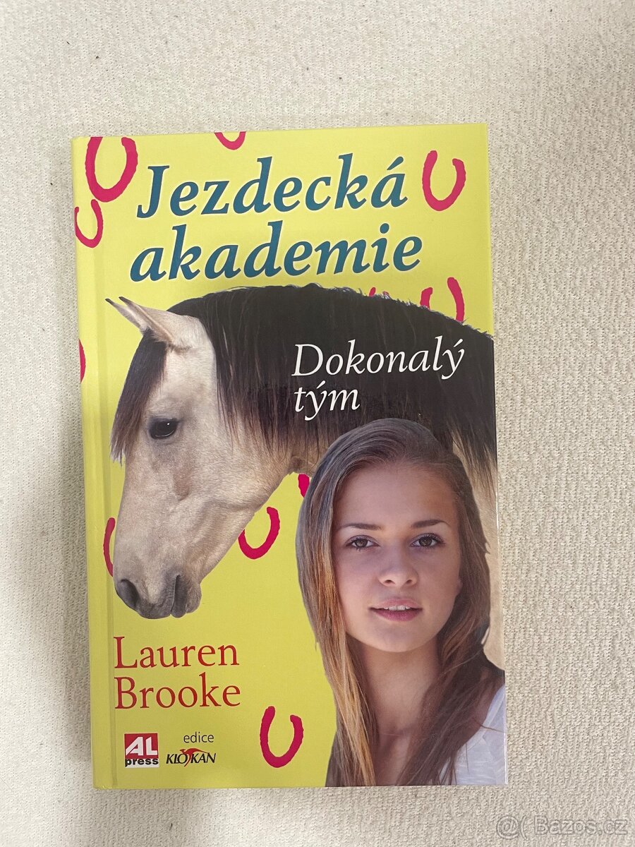 KNIHA - Dokonalý tým