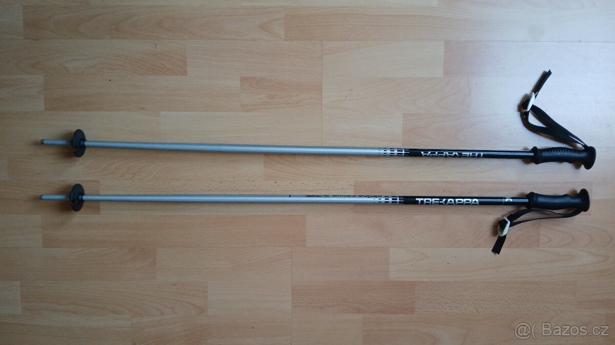 Lyžařské hůlky délky 100 cm