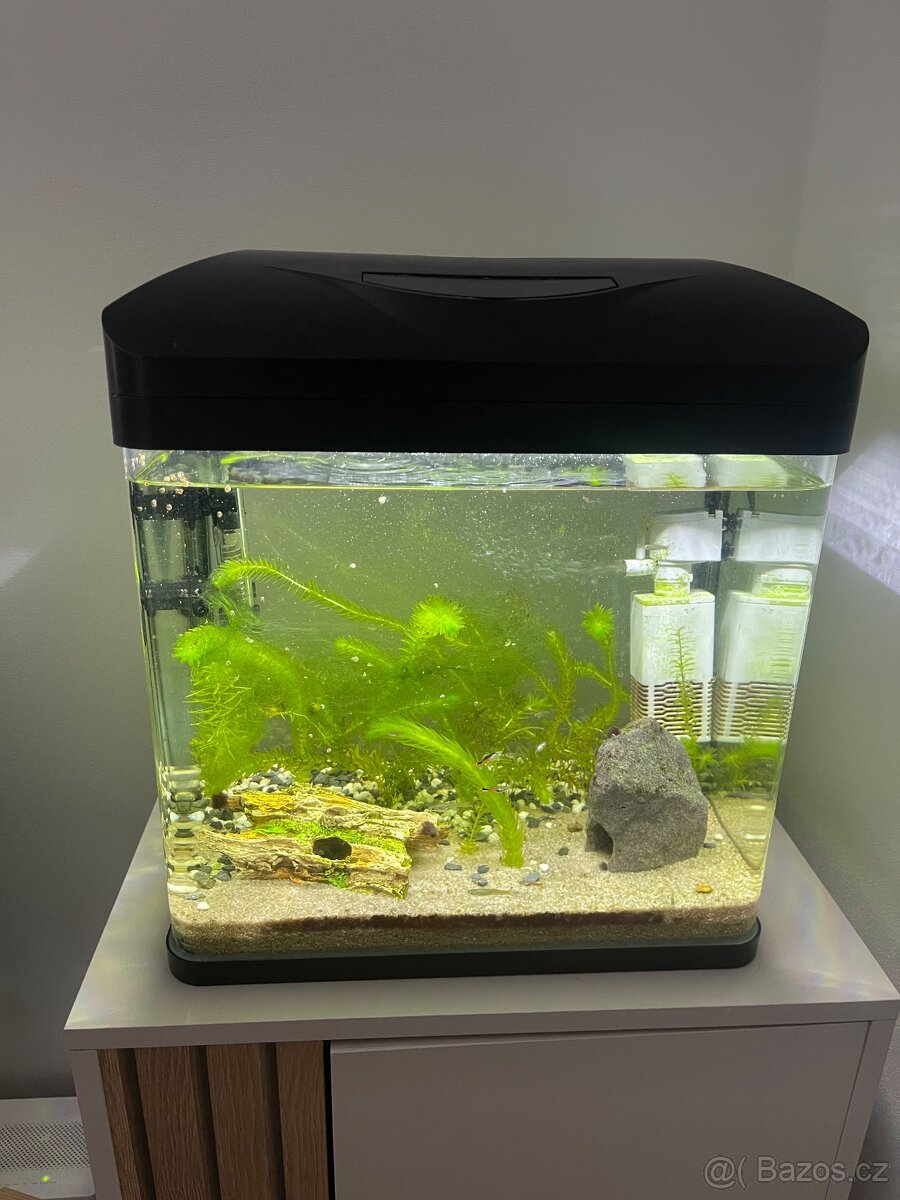 Akvárium 32L s příslušenstvím a rybami (Endlerky)