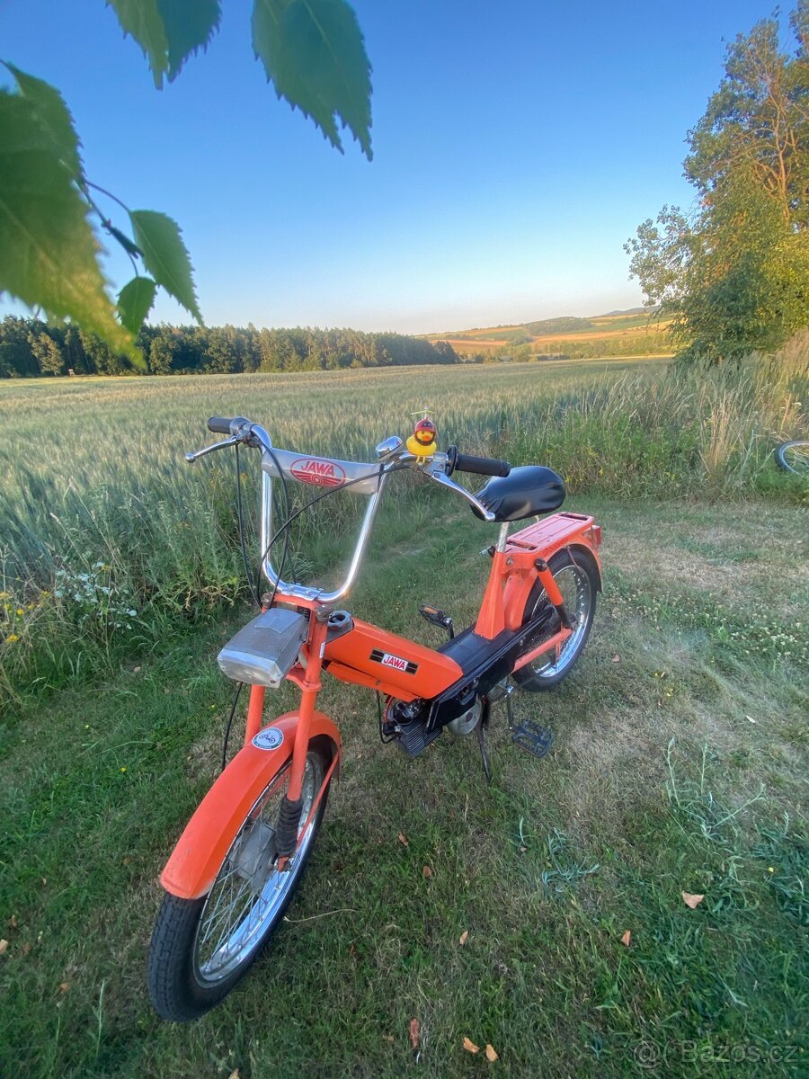 Babeta 207