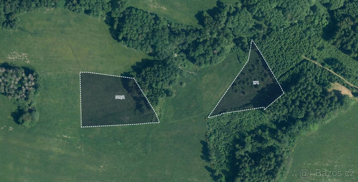 Zemědělská půda, prodej, Bližanovy, Plánice, Klatovy