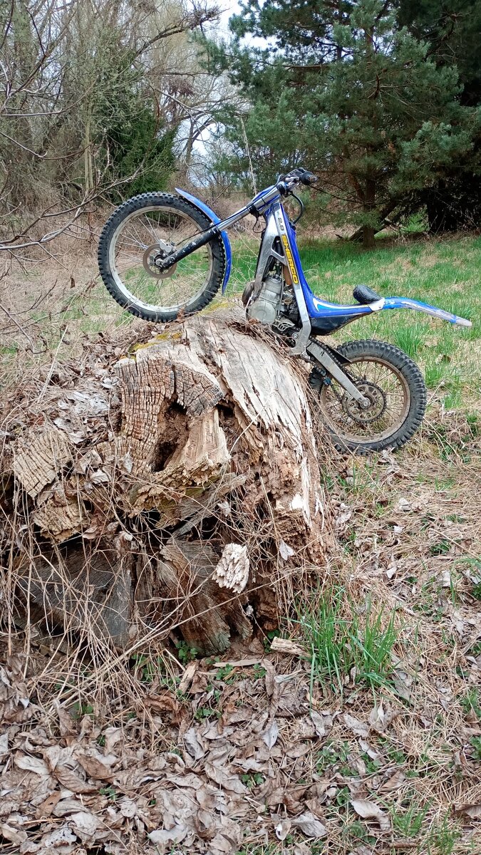Sherco 300