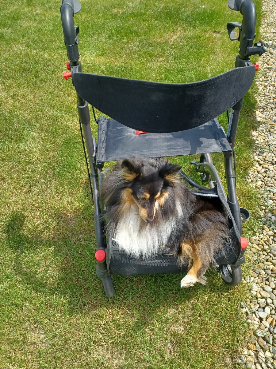 Choditko pro seniory