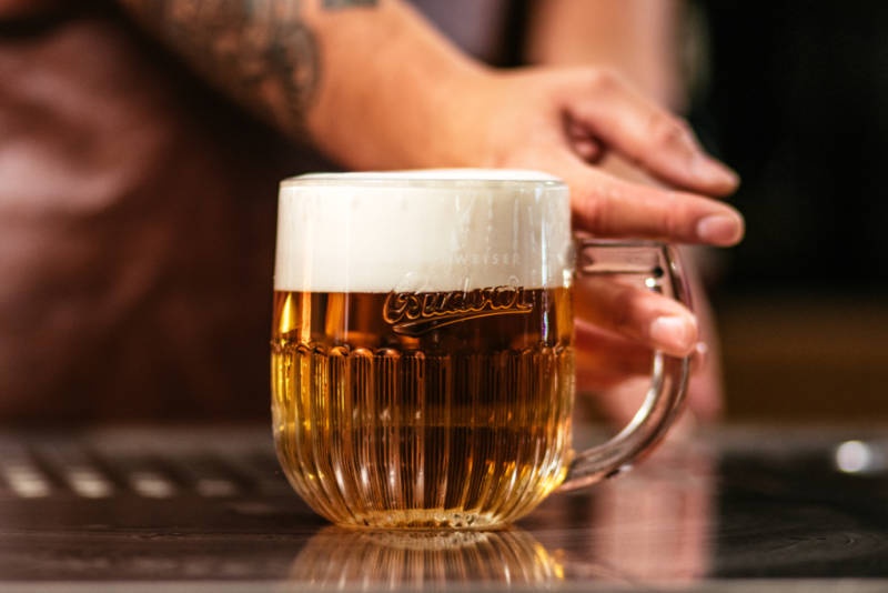 Budvar - pivni sklo, sklenice 0,5L Rony Plesl