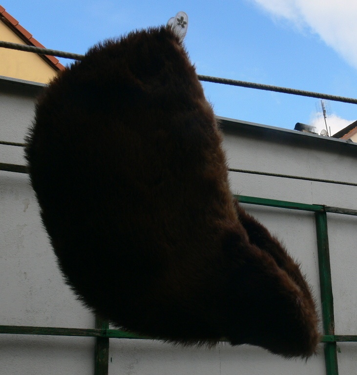 Pánská čepice z vydry