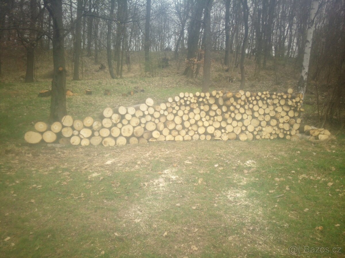 Palivové Dřevo