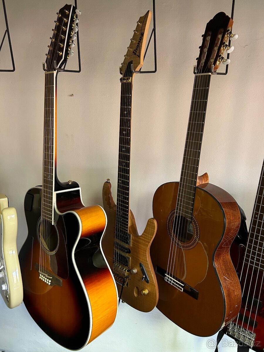 Ibanez Egen 8 el. kytara, Takamine Limited 6 a 12, Vitaso...