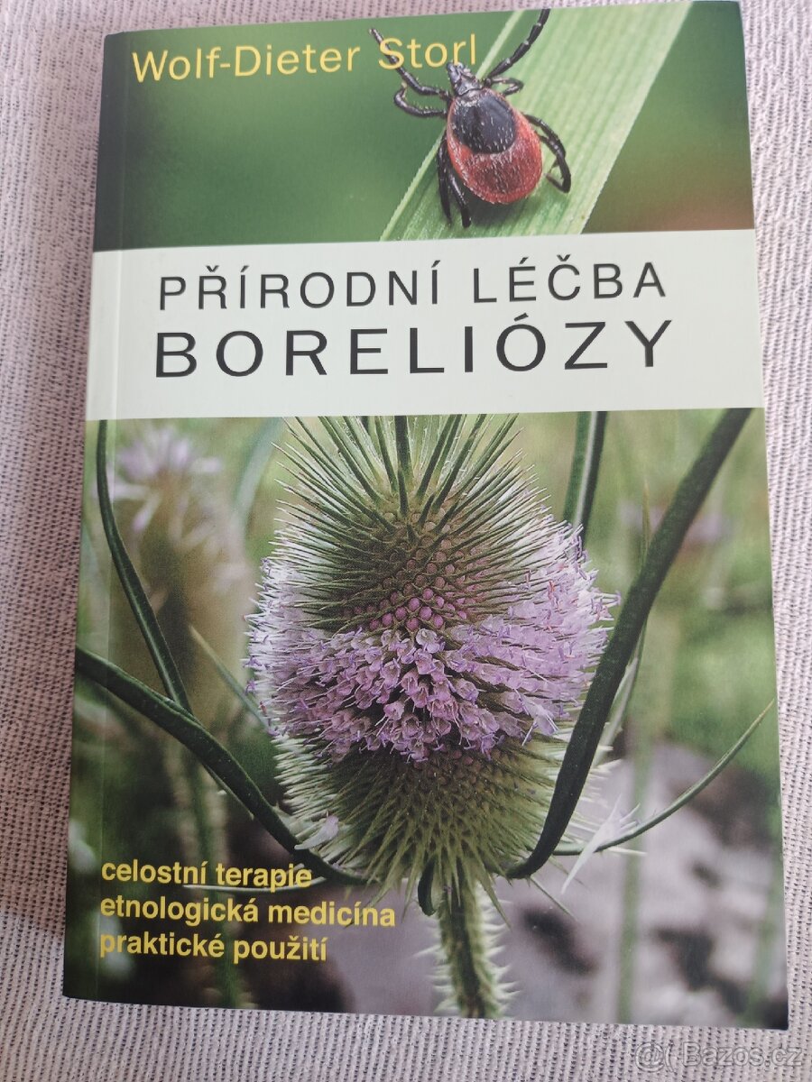 Přírodní léčba boreliózy