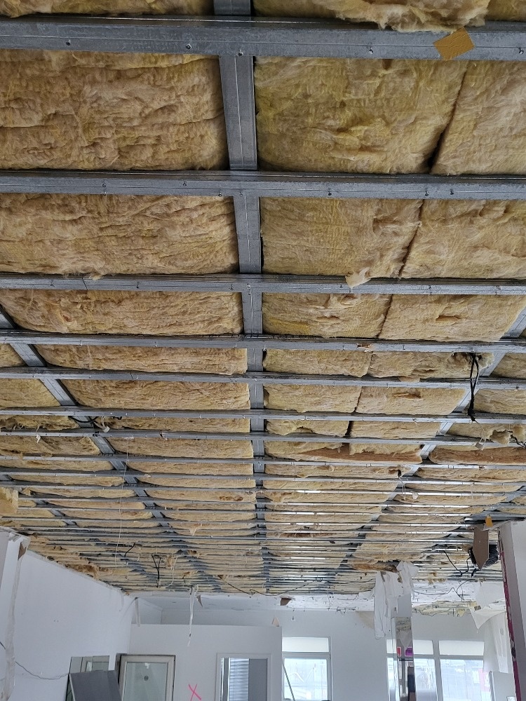 Daruji za odvoz zdarma