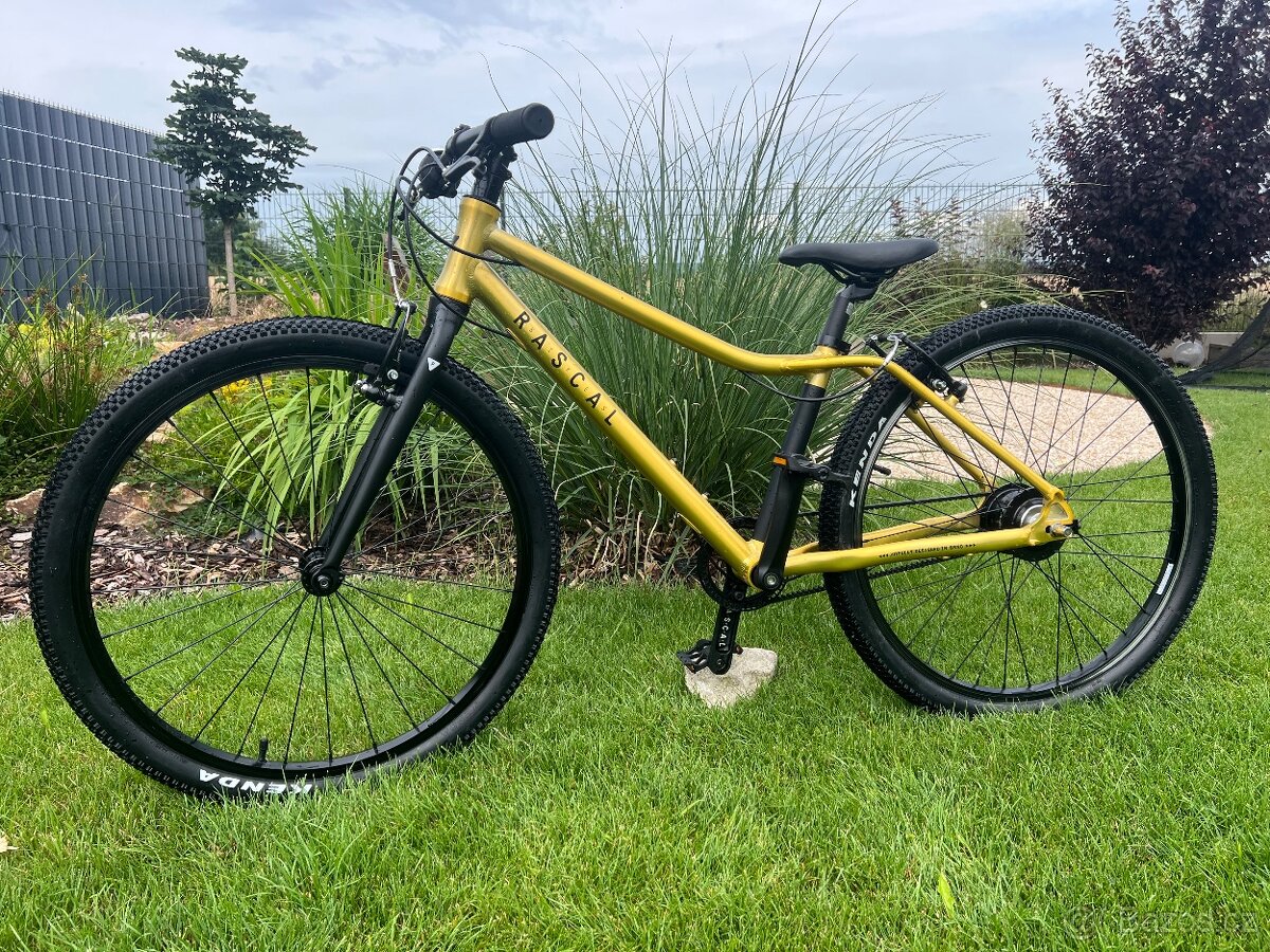 Horské kolo Rascal 24” Sturmer Archer 5s gold zlatá UNI