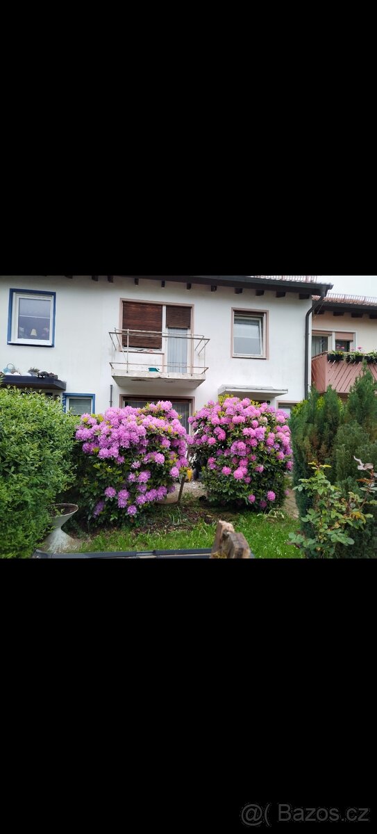 Hledám spolubydlíci,spolubydlení, podnajem