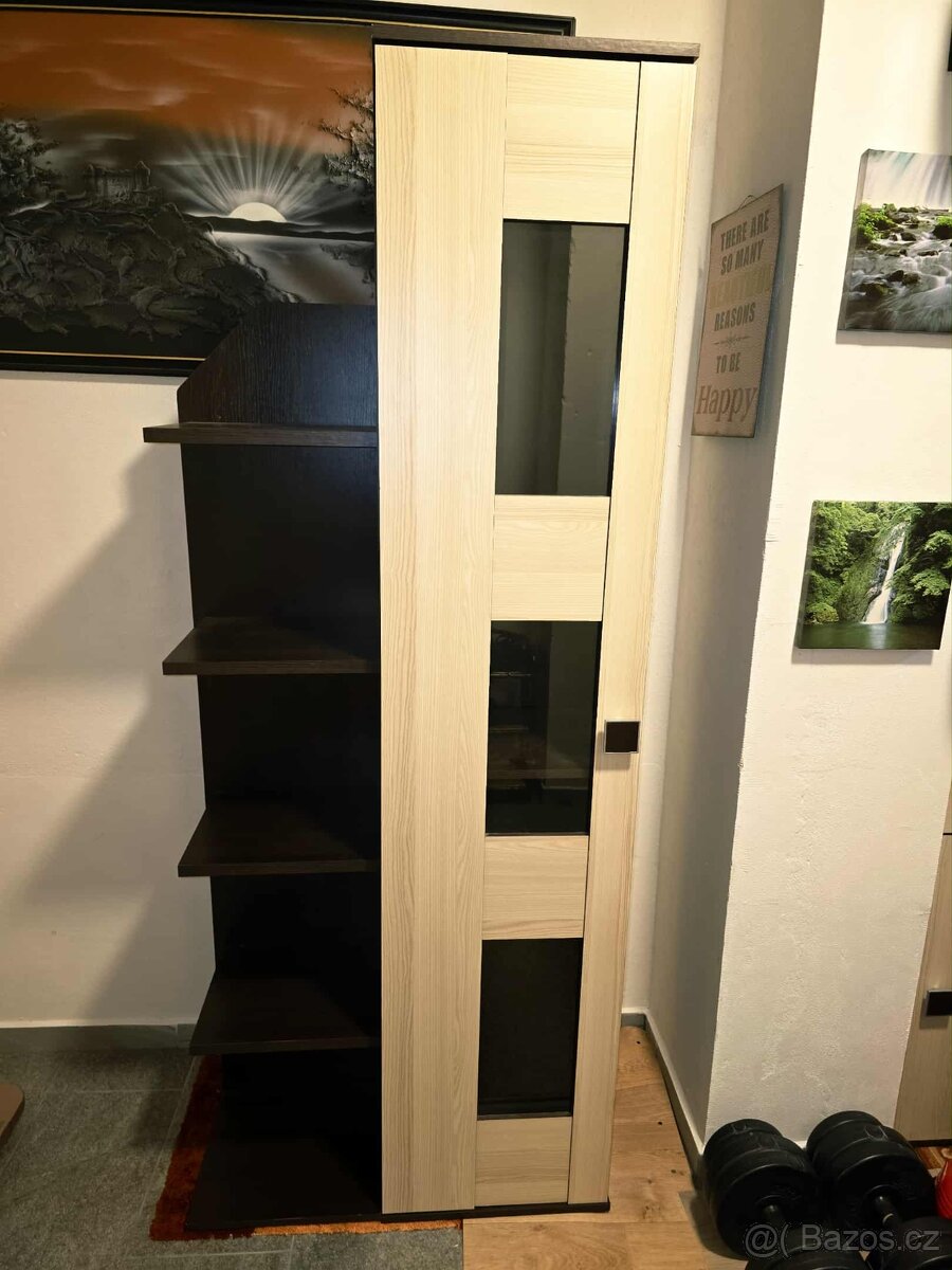 Stěna do pokoje, obývací stěna VENGE