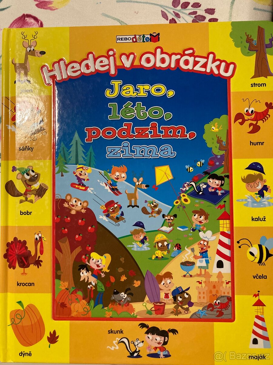 Rebo Hledej v obrázku