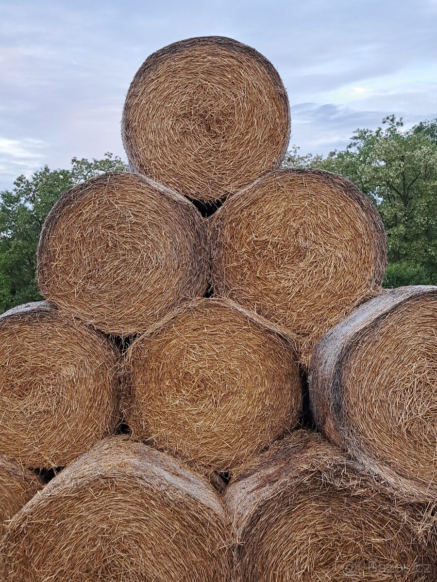 Sláma