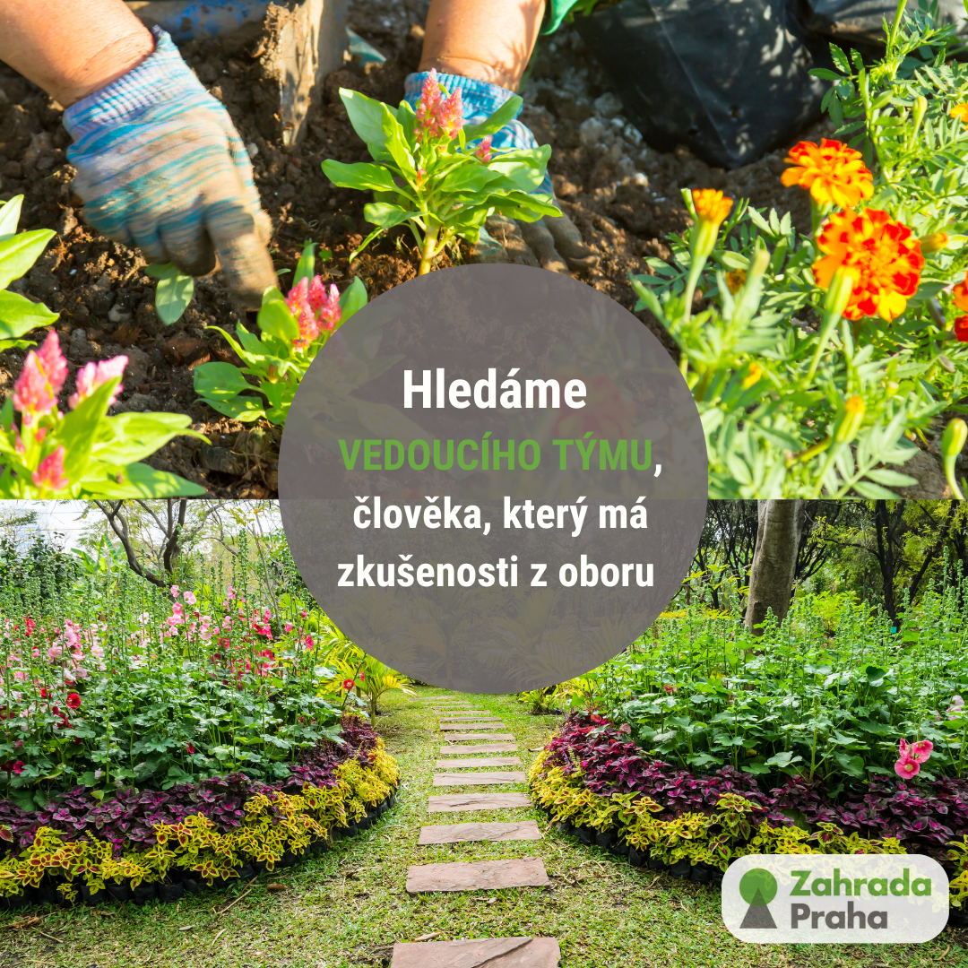 HLEDÁME ZAHRADNÍKA / ZAHRADNICI / VEDOUCÍHO TÝMU