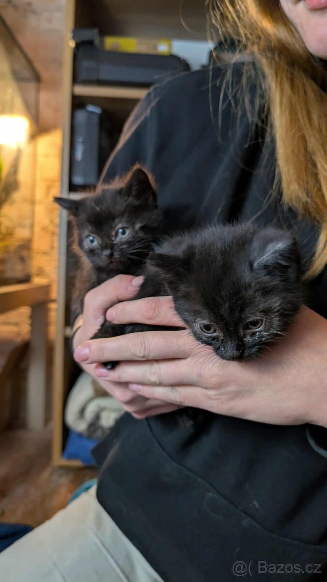 Darujeme do dobrých rukou