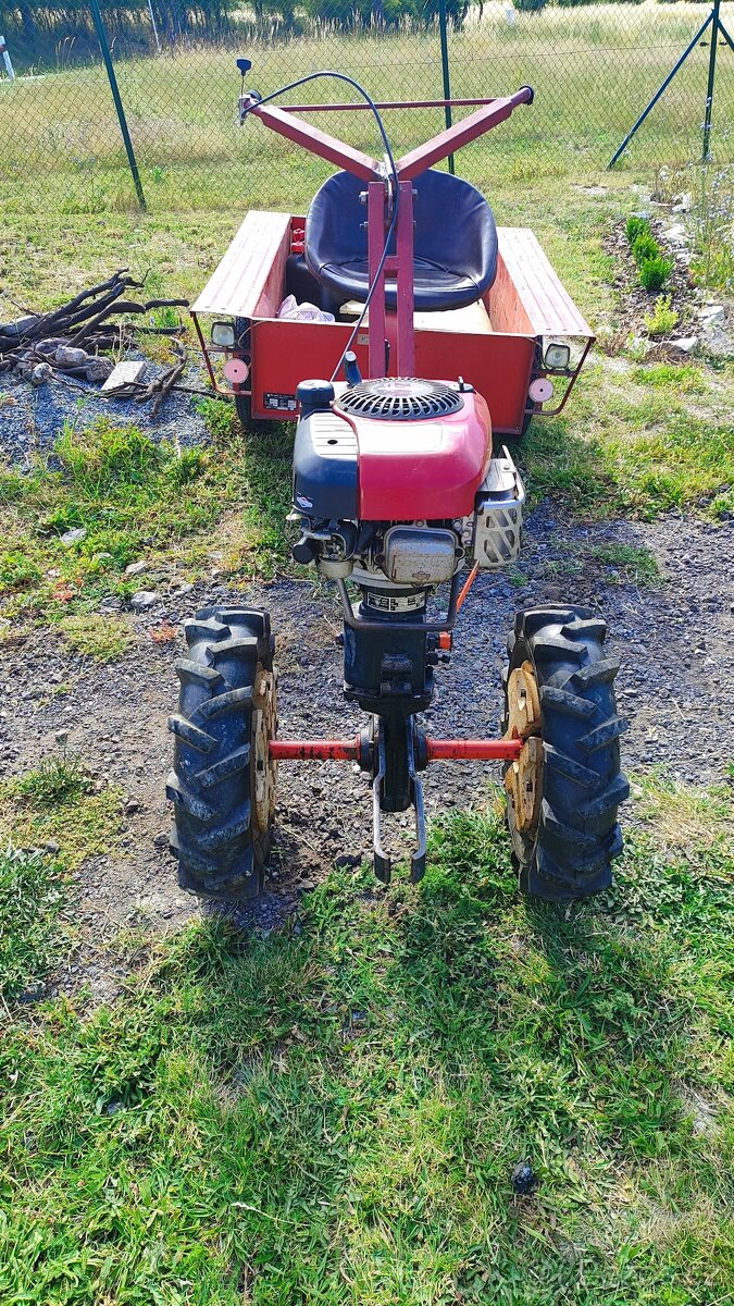 Vari Tera, Briggs & Stratton Motor Intek Pro 65