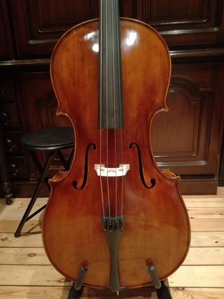 Rané housle - Viola - Violoncello 78 Violoncello Albin Wilfe