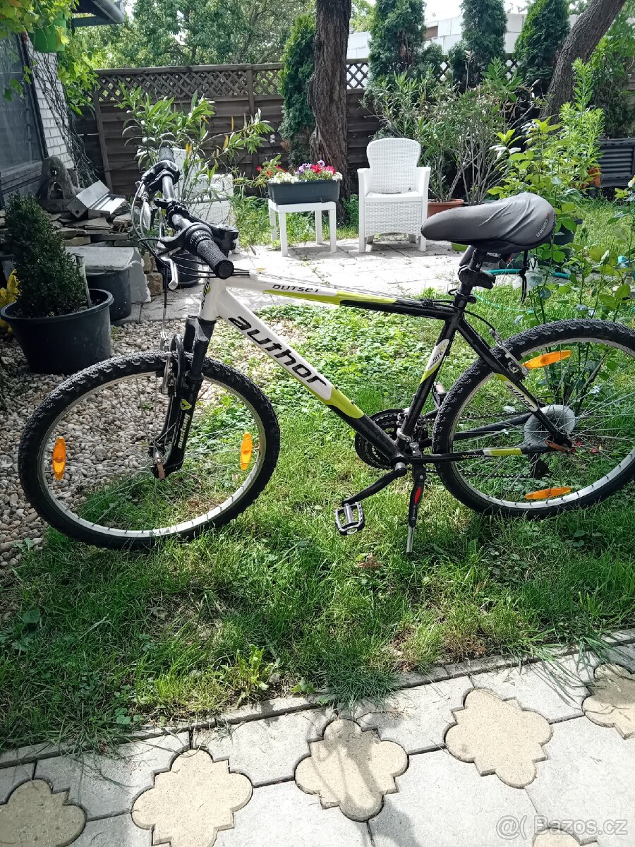 10000 korun