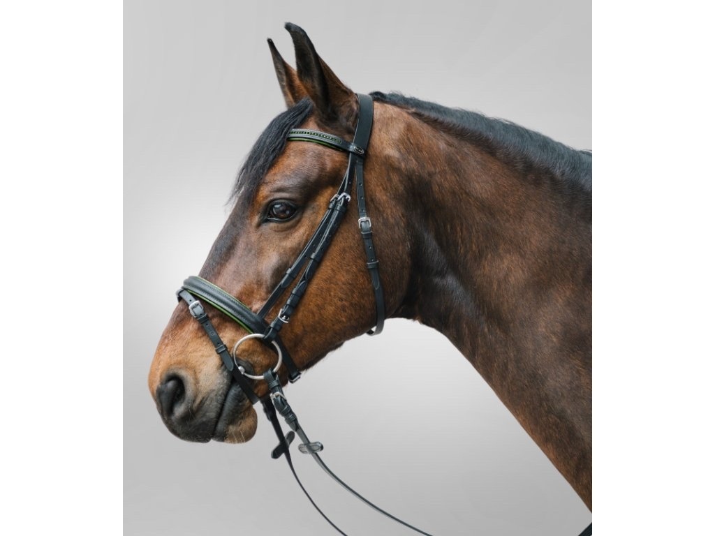 Anglicka zelena uzda