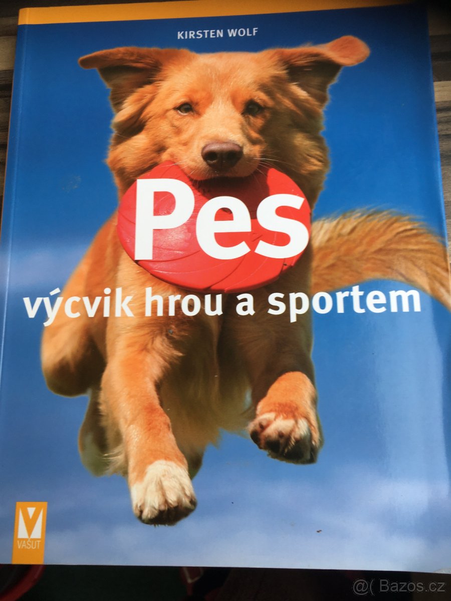 Kniha Pes výcvik hrou a sportem - Kirsten Wolf