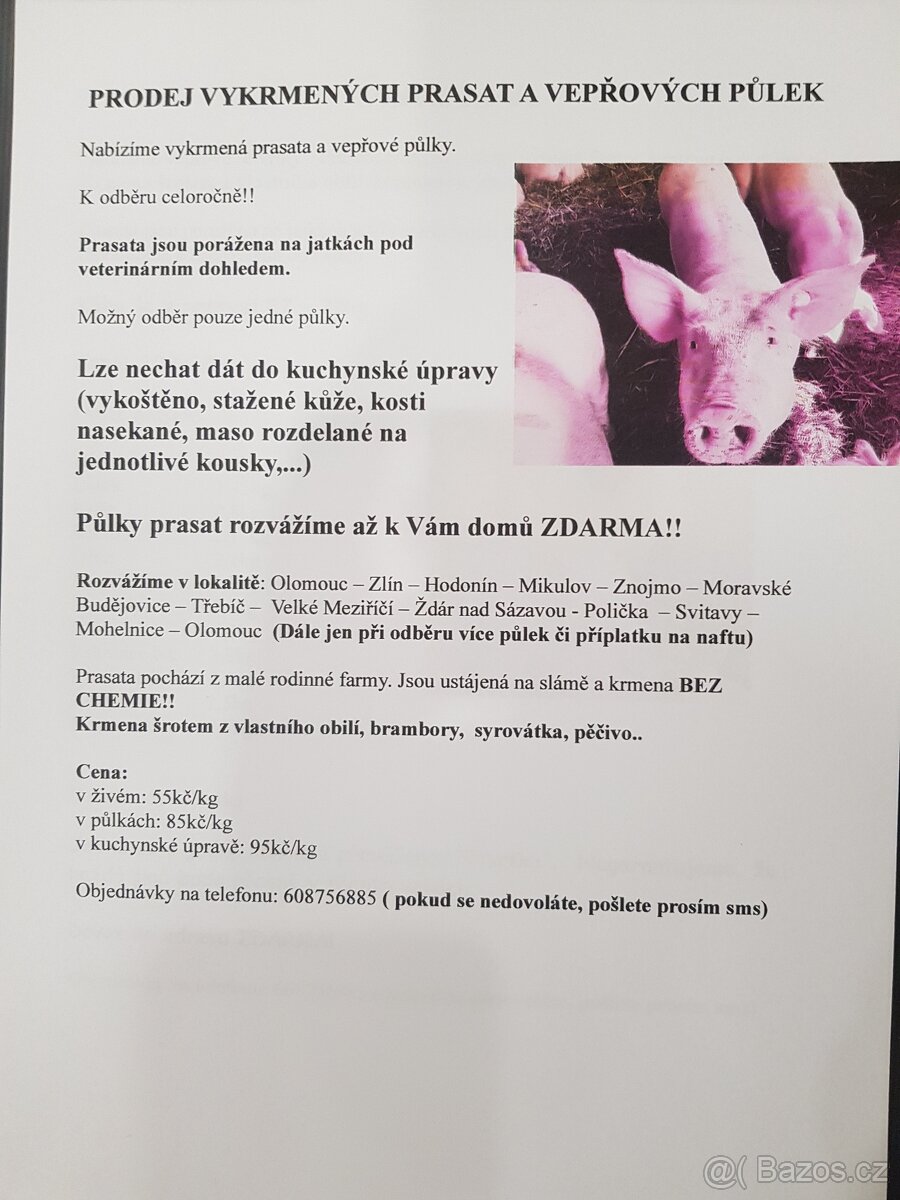 Vykrmena prasata, pulky s dovozem