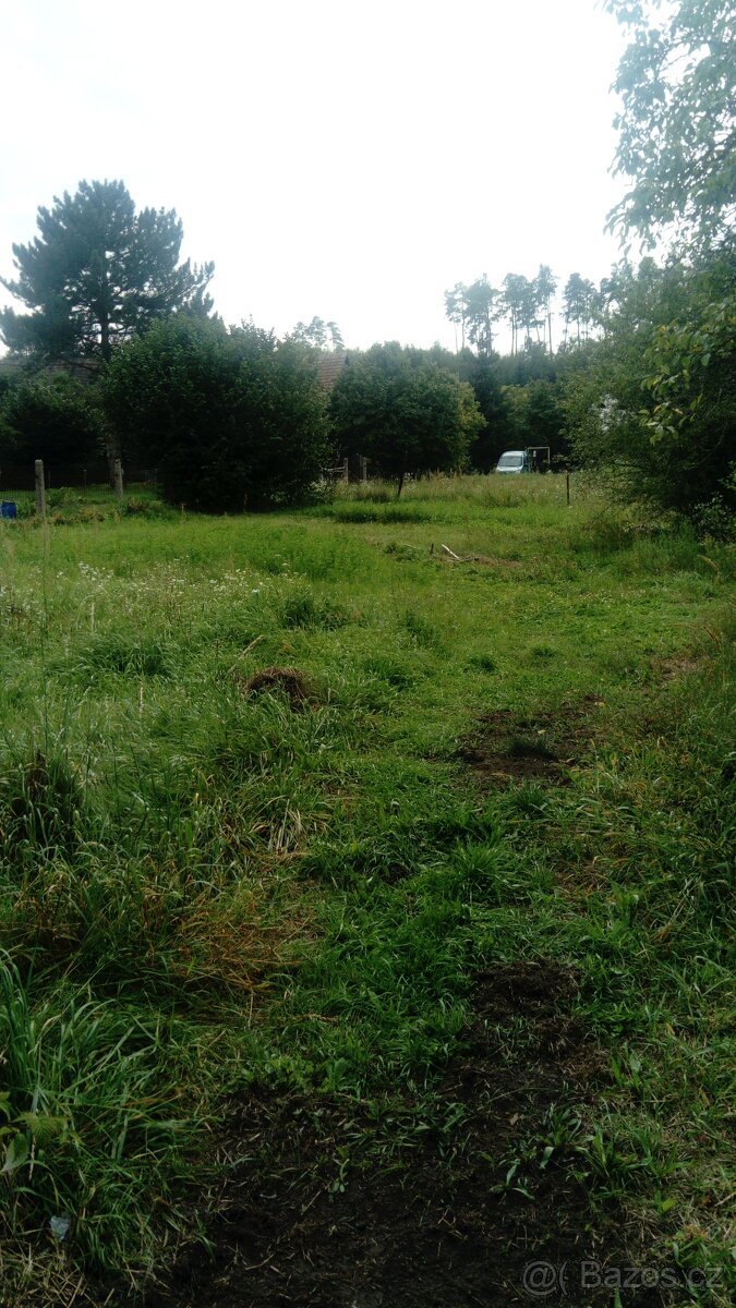 nabídka - zahrada 4 800 m2