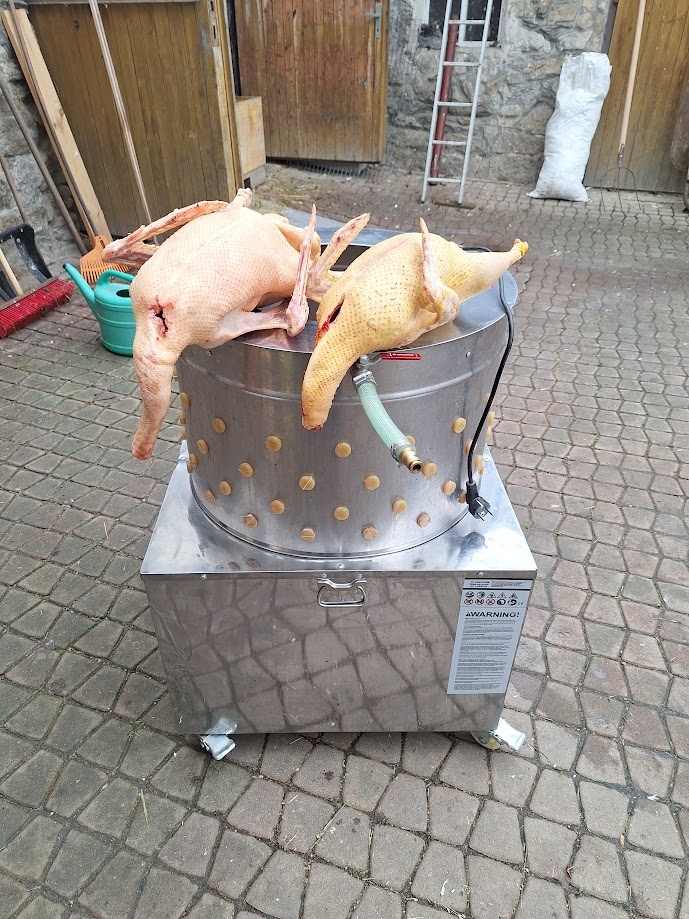 bubnová škubačka peří