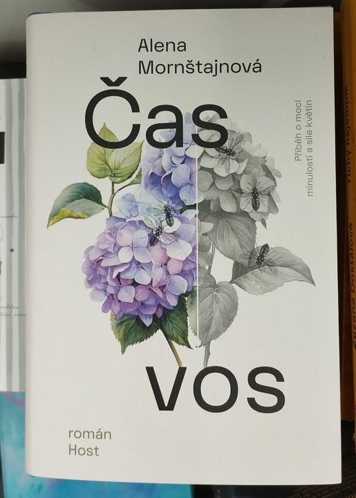 ALENA MORNŠTAJNOVÁ - Čas vos