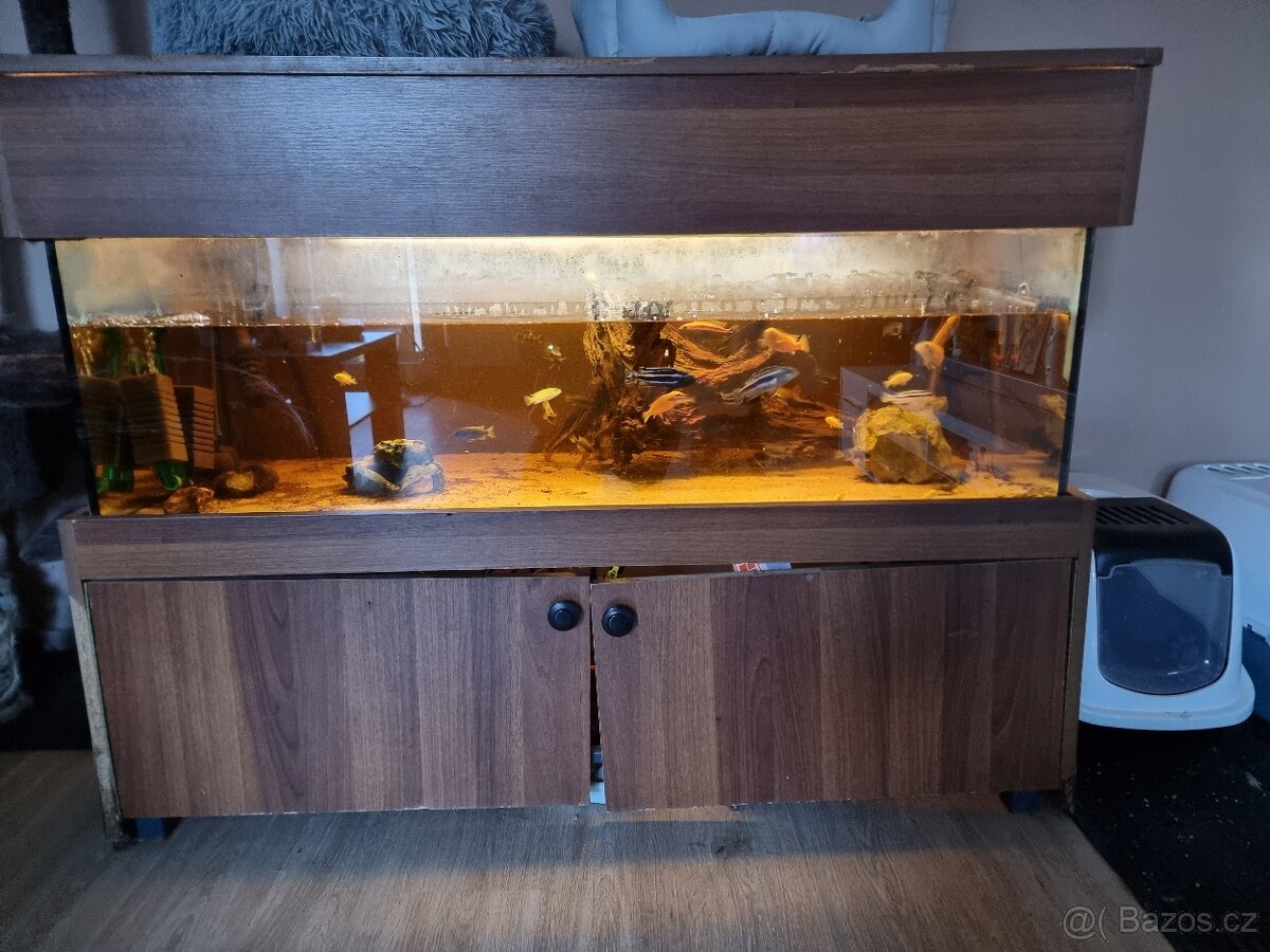 Akvarium