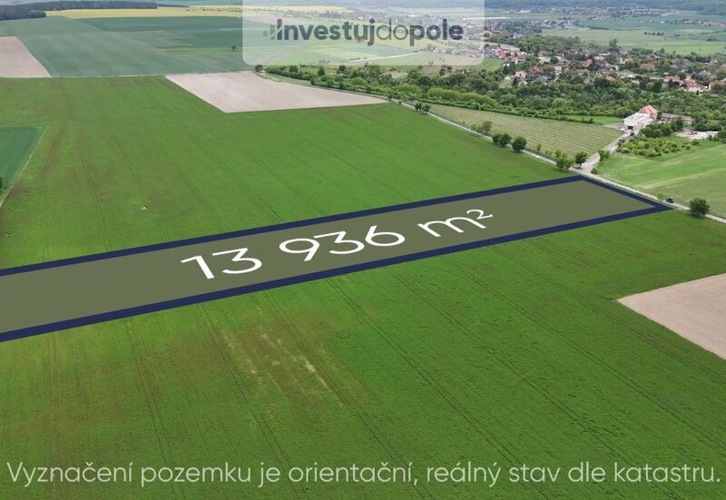 Prodej pole v k.ú. Skuhrov u Mělníka