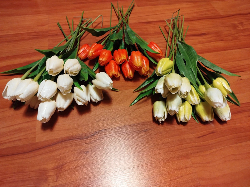 tulipány 37ks