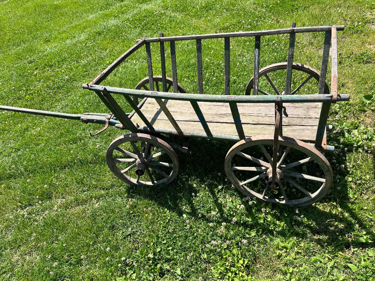 Žebřiňák