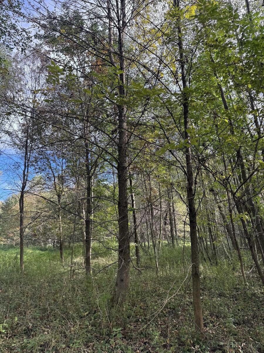 Prodám pozemky v k.ú. Záblatí u Bohumína 3 parcely