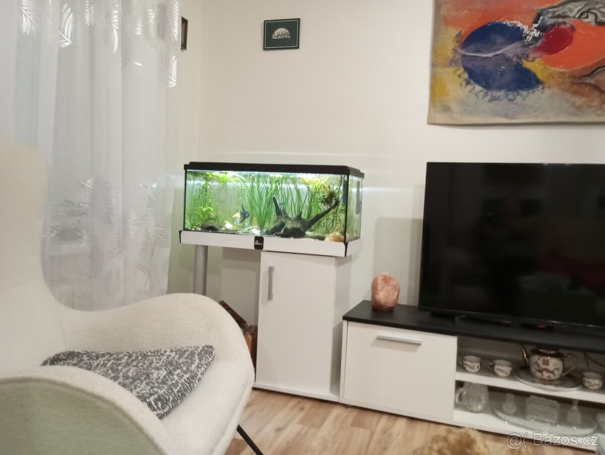 Prodám kompletní akvarium