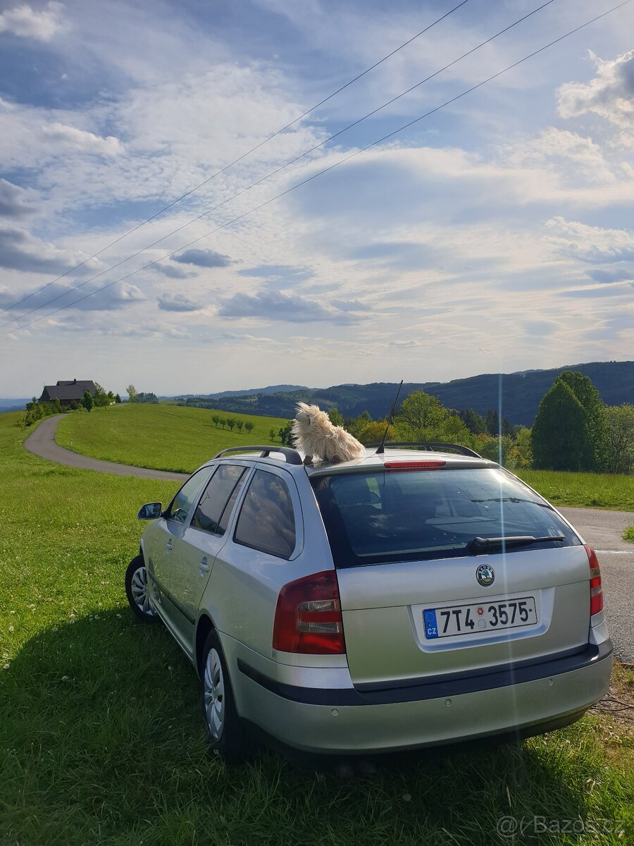 Škoda Octavia II 1.9 TDI 77kw 2006 DSG/Automat 6st